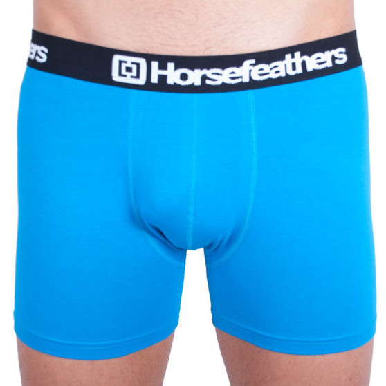 Herenboxershort Horsefeathers Dynasty blauw (AA540F)