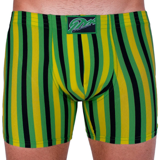 Herenboxershort Styx lang klassiek elastisch meerkleurig (F865)