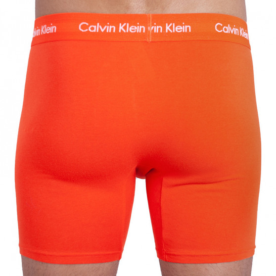 3PACK herenboxershort Calvin Klein veelkleurig (NB1770A-YTP)