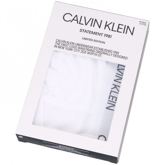 Herenslip Calvin Klein wit (NB1810A-100)