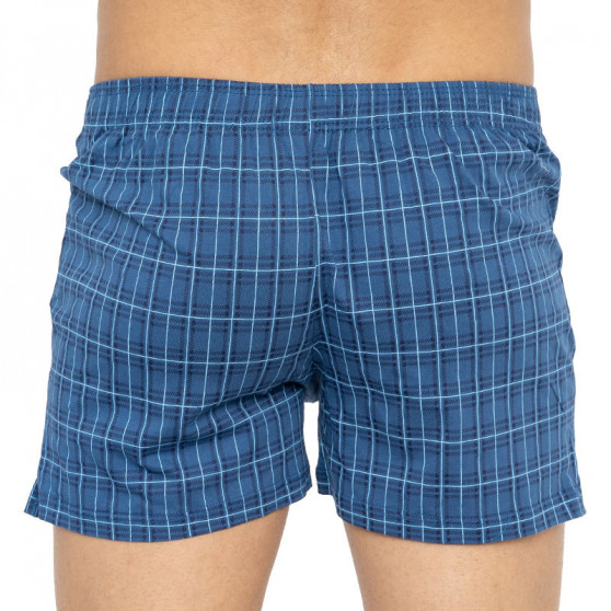 Herenboxershorts Andrie blauw (PS 5288a)
