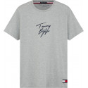 Heren-T-shirt Tommy Hilfiger grijs (UM0UM01787 P6S)