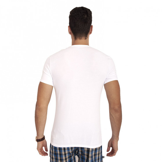 2PACK heren t-shirt Calvin Klein wit (NB1089A-100)