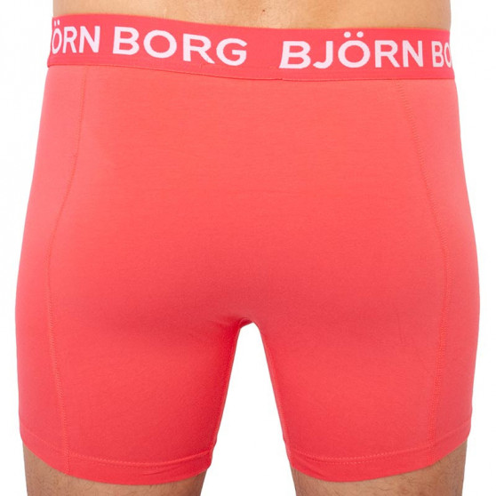 3PACK herenboxershort Bjorn Borg veelkleurig (1921-1504-70391)