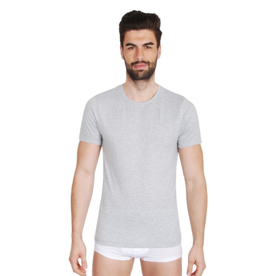 Heren-T-shirt Fila grijs (FU5002-400)