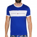 Heren-T-shirt Tommy Hilfiger blauw (UM0UM01170 C86)