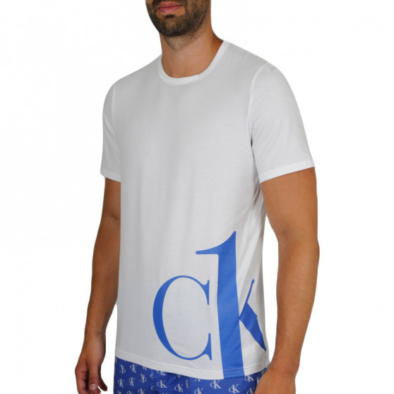 Heren-T-shirt Calvin Klein wit (NM1904E-KLO)
