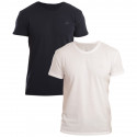 2PACK heren t-shirt Gant blauw/wit (901002108-109)