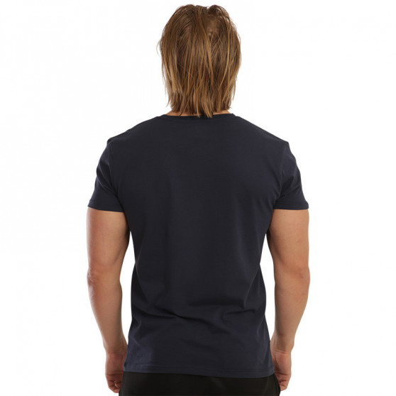 2PACK heren t-shirt Gant blauw/wit (901002108-109)