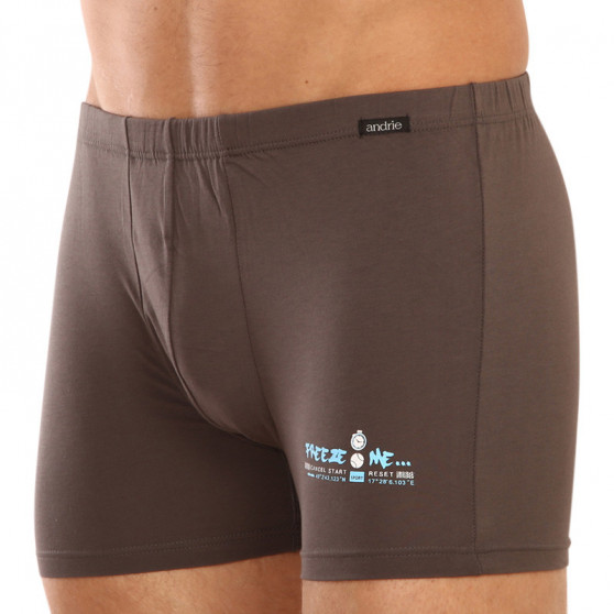 Herenboxershort Andrie donkergrijs (PS 5593 A)