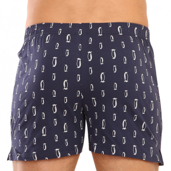 Herenboxershorts Andrie donkerblauw (PS 5579 A)