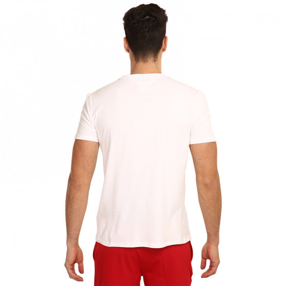Heren-T-shirt Tommy Hilfiger veelkleurig (UM0UM02436 YBR)