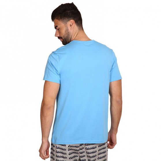 Heren-T-shirt Calvin Klein blauw (NM2170E-CY0)