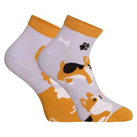 Happy Socks Dedoles Hond Corgi (GMLS241)