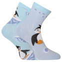 Gelukkige Baby Sokken Dedoles Gelukkige Pinguïn (GMKS207)