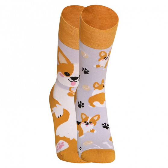 Happy Socks Dedoles Hond Corgi (GMRS241)