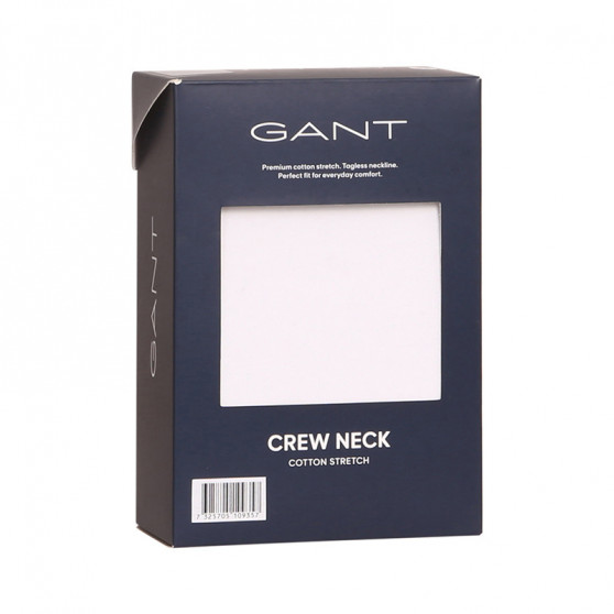 Heren-T-shirt Gant wit (901911998-110)