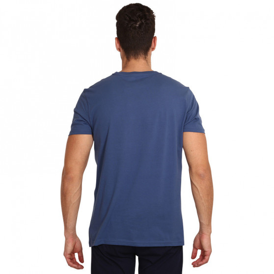 Heren-T-shirt Tommy Hilfiger blauw (UM0UM01434 C47)