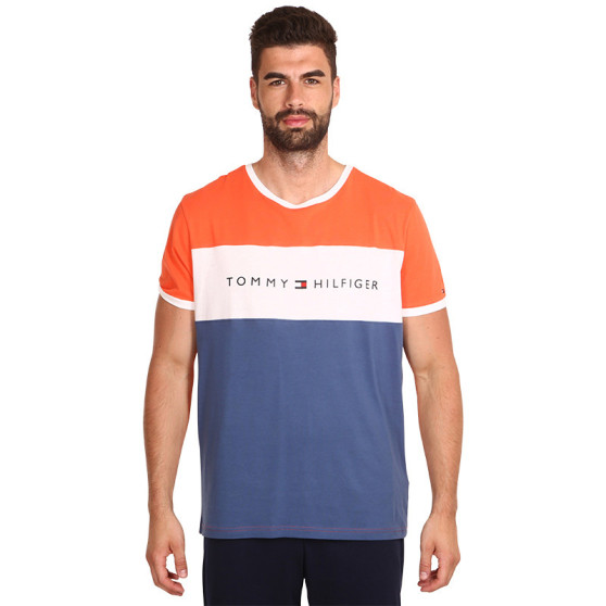 Heren-T-shirt Tommy Hilfiger veelkleurig (UM0UM01170 XMV)