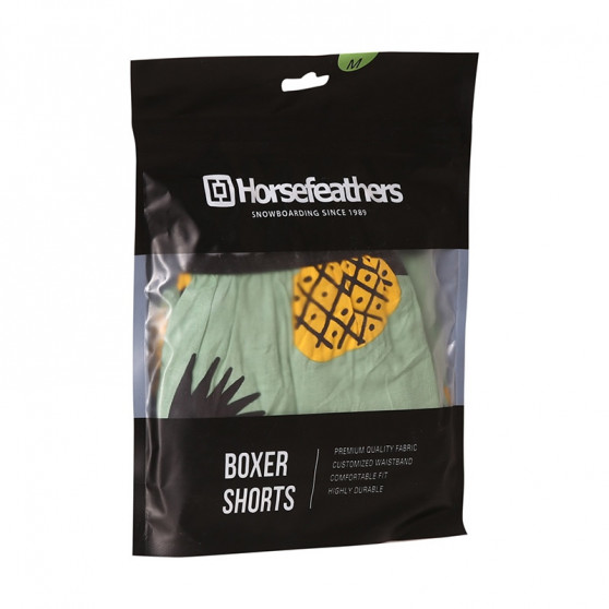 Herenboxershort Horsefeathers Frazier ananas (AM166D)
