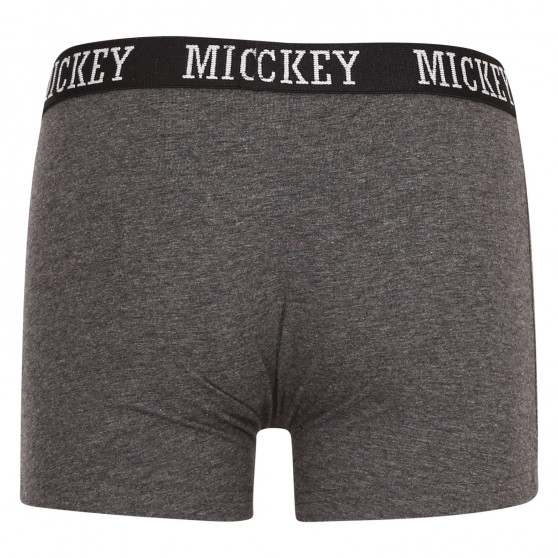 2PACK jongens boxershort E plus M Mickey veelkleurig (52 33 A370)