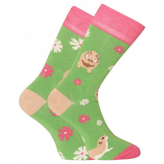 3PACK Vrolijke sokken Dedoles (RS15485567)