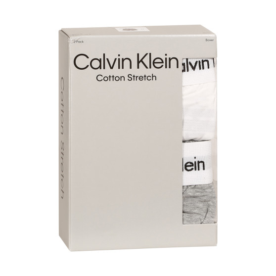2PACK herenboxershorts Calvin Klein veelkleurig (NB3522A-BL6)