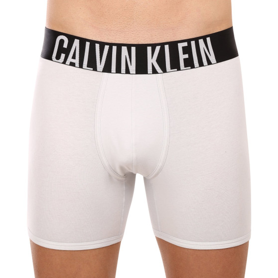 2PACK herenboxershort Calvin Klein veelkleurig (NB2603A-C2D)