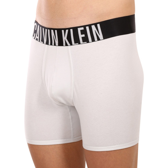 2PACK herenboxershort Calvin Klein veelkleurig (NB2603A-C2D)