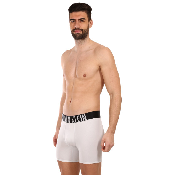 2PACK herenboxershort Calvin Klein veelkleurig (NB2603A-C2D)