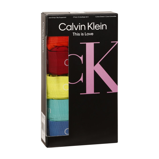 5PACK herensokken Calvin Klein veelkleurig (NB2041A-BNG)