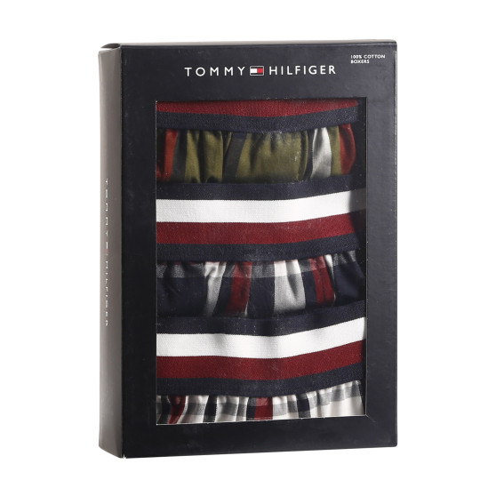 3PACK Herenboxershort Tommy Hilfiger veelkleurig (UM0UM03042 0SW)