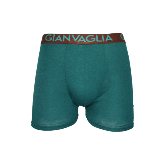 Herenboxershort Gianvaglia groen (024-green)