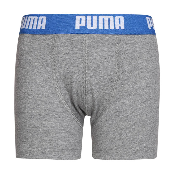 2PACK jongens boxershort Puma veelkleurig (701219336 417)