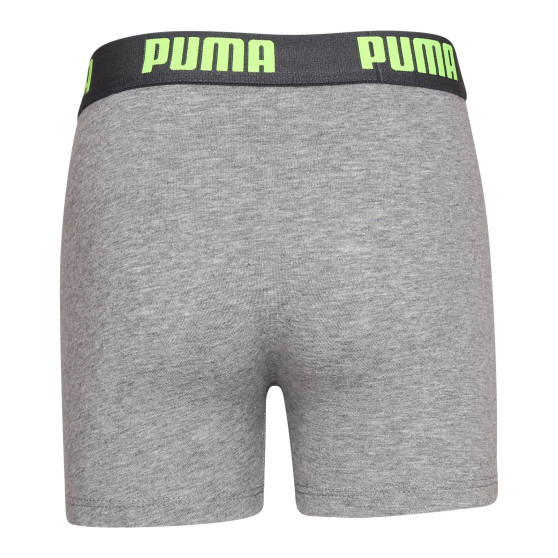 2PACK jongens boxershort Puma veelkleurig (701219334 005)