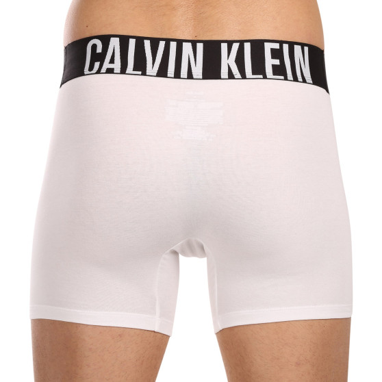 3PACK herenboxershort Calvin Klein veelkleurig (NB3609A-MP1)