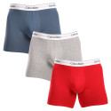 3PACK herenboxershort Calvin Klein veelkleurig (NB2381A-N2I)