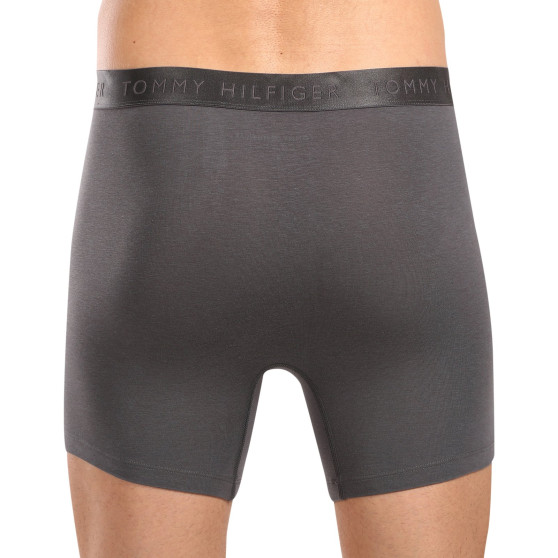 3PACK herenboxershort Tommy Hilfiger veelkleurig (UM0UM03393 0XX)